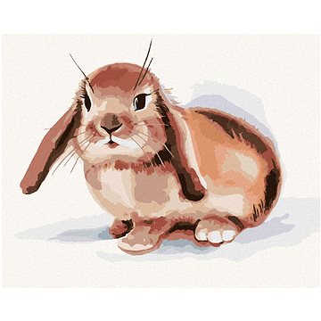 Hnědý králík na bílém pozadí, 40×50 cm, bez rámu a bez vypnutí plátna (6055990)