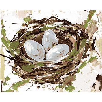 Hnízdo s vejci (Haley Bush), 40×50 cm, bez rámu a bez vypnutí plátna (5018520)