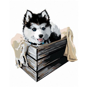 Husky v krabici, 40×50 cm, vypnuté plátno na rám (6051821)