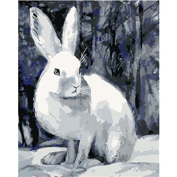 Králík v zimě u lesa, 40×50 cm, bez rámu a bez vypnutí plátna (6055750)
