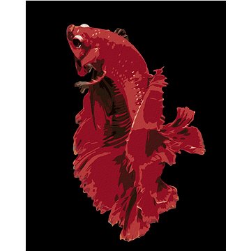 Krásná červená rybka, 40×50 cm, vypnuté plátno na rám (6050811)