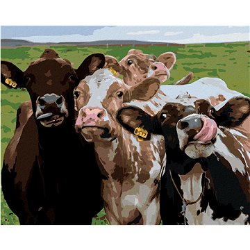 Kráva a její kamarádi, 40×50 cm, bez rámu a bez vypnutí plátna (6055440)