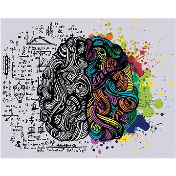 Kreativní pojetí lidského mozku, 40×50 cm, vypnuté plátno na rám (6041431)