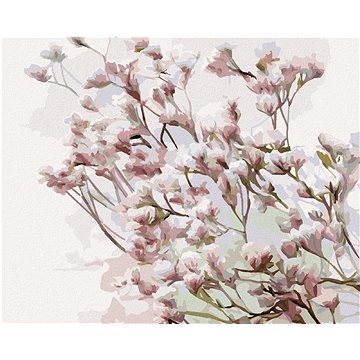 Květoucí magnólie, 40×50 cm, vypnuté plátno na rám (6044571)