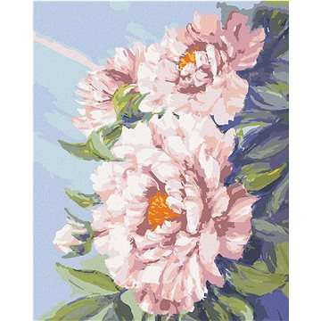 Květy růžové pivoňky, 40×50 cm, bez rámu a bez vypnutí plátna (6043720)