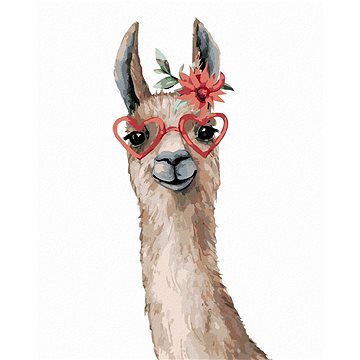 Lama s brýlemi, 80×100 cm, vypnuté plátno na rám (6048753)
