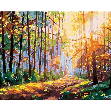 Les s odrazem sluníčka, 40×50 cm, vypnuté plátno na rám (6044811)