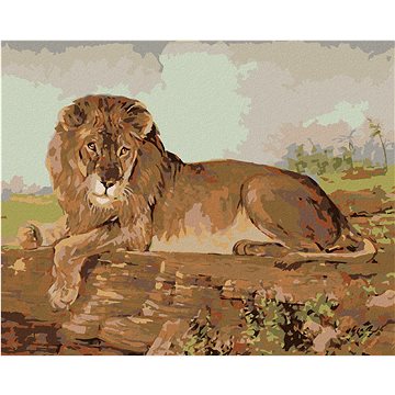 Lev na savaně, 80×100 cm, bez rámu a bez vypnutí plátna (5013982)
