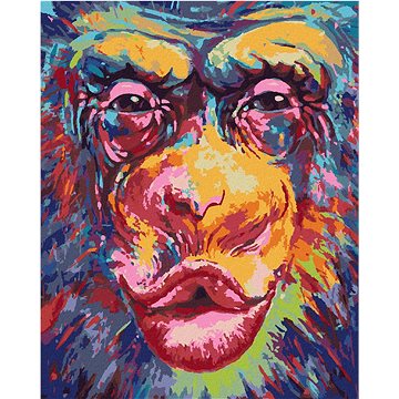 Líbající opice, 40×50 cm, vypnuté plátno na rám (6043891)