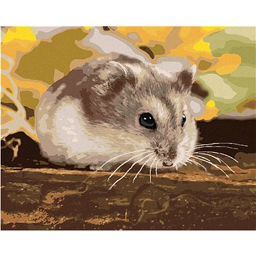 Malý křeček, 40×50 cm, vypnuté plátno na rám (6054151)