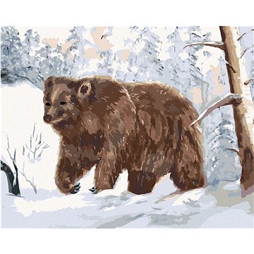 Medvěd v zasneženém lese, 40×50 cm, bez rámu a bez vypnutí plátna (6045180)