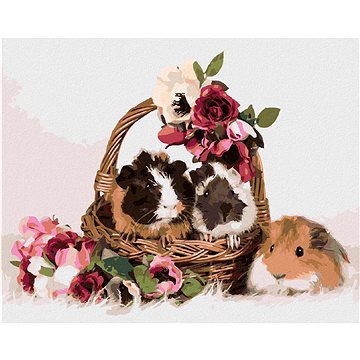 Morčata v košíku s květinami, 80×100 cm, vypnuté plátno na rám (6055413)