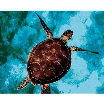 Mořská želva na vodě, 40×50 cm, vypnuté plátno na rám (6053871)