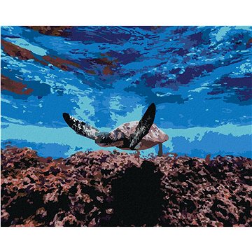 Mořská želva pod hladinou, 40×50 cm, vypnuté plátno na rám (6053931)