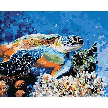 Mořská želva, 40×50 cm, vypnuté plátno na rám (6048791)