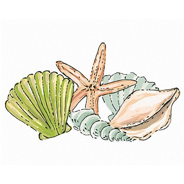 Mořske mušle a hvězdice (Haley Bush), 80×100 cm, vypnuté plátno na rám (5018853)