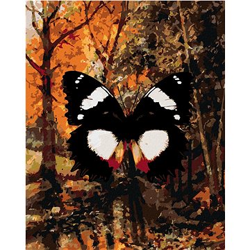 Motýl v podzimním lese, 40×50 cm, vypnuté plátno na rám (6045541)