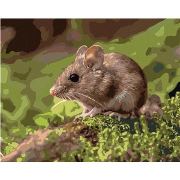 Myška spočívající v lese, 40×50 cm, vypnuté plátno na rám (6055291)