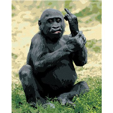 Naštvaná gorila, 40×50 cm, vypnuté plátno na rám (6043961)