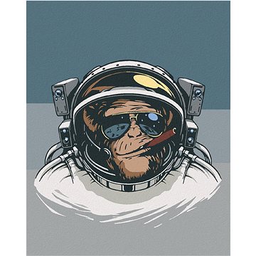 Opice kosmonautem, 40×50 cm, bez rámu a bez vypnutí plátna (6043810)