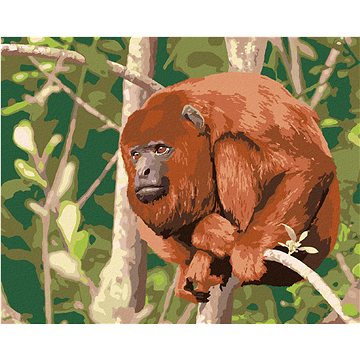 Opice Mantled odpočívající na stromě, 40×50 cm, vypnuté plátno na rám (6043781)