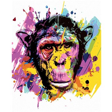 Opice na barevném pozadí, 40×50 cm, bez rámu a bez vypnutí plátna (6043980)