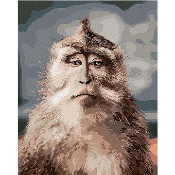 Opice s vážným obličejem, 40×50 cm, bez rámu a bez vypnutí plátna (6043770)