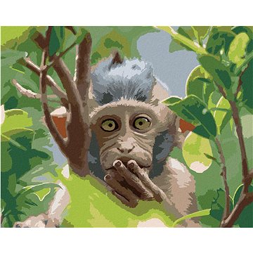 Opice v přírodním lese, 40×50 cm, bez rámu a bez vypnutí plátna (6044100)