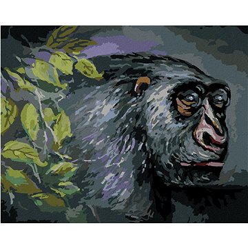 Opice, 40×50 cm, bez rámu a bez vypnutí plátna (6043750)