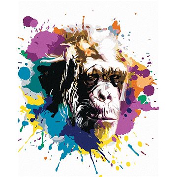 Opičí hlava na barevném pozadí, 40×50 cm, bez rámu a bez vypnutí plátna (6043990)