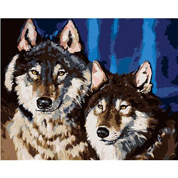 Pár vlků, 40×50 cm, vypnuté plátno na rám (6052371)