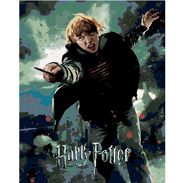Plakát Harry Potter a relikvie smrti Ron, 40×50 cm, vypnuté plátno na rám (6066641)