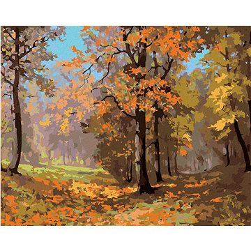 Podzimní procházka lesem, 40×50 cm, vypnuté plátno na rám (6045031)