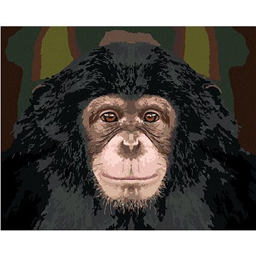 Portrét šimpanze, 80×100 cm, bez rámu a bez vypnutí plátna (6043872)