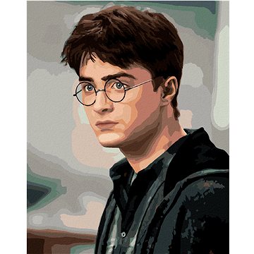 Portrét zahleděný Harry Potter, 40×50 cm, bez rámu a bez vypnutí plátna (6063540)