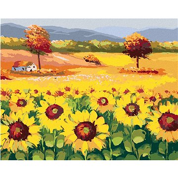 Překrásné pole plné slunečnic, 40×50 cm, vypnuté plátno na rám (6057031)