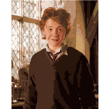 Ron v učebně (Harry Potter), 40×50 cm, vypnuté plátno na rám (6067041)