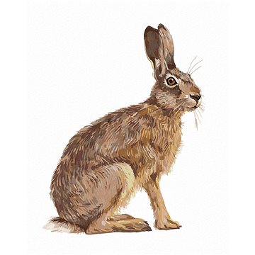 Sedící zajíc, 40×50 cm, vypnuté plátno na rám (6056181)