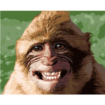Smějící se opice, 40×50 cm, vypnuté plátno na rám (6043881)
