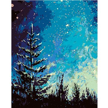 Strom a noční obloha v lese, 40×50 cm, bez rámu a bez vypnutí plátna (6045550)