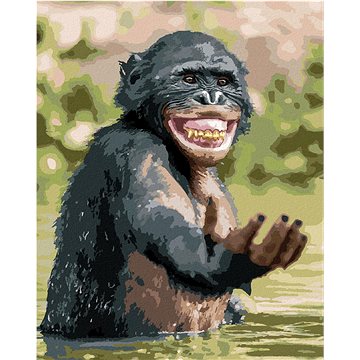Šťastný šimpanz, 40×50 cm, vypnuté plátno na rám (6043951)