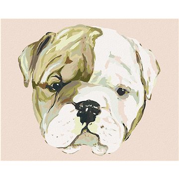 Štěnátko bulldoga (Haley Bush), 40×50 cm, bez rámu a bez vypnutí plátna (5017370)