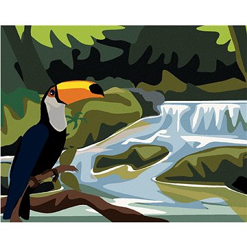 Tukan s vodopádem, 40×50 cm, vypnuté plátno na rám (6045111)