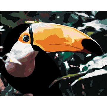 Tukan v lese, 40×50 cm, vypnuté plátno na rám (6045091)