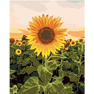 Úžasná slunečnice, 40×50 cm, vypnuté plátno na rám (6058161)