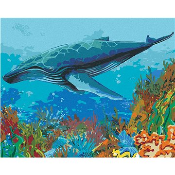 Velryba a korálový útes, 40×50 cm, vypnuté plátno na rám (6051631)