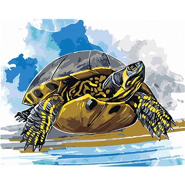 Vodní želva, 40×50 cm, bez rámu a bez vypnutí plátna (6048800)