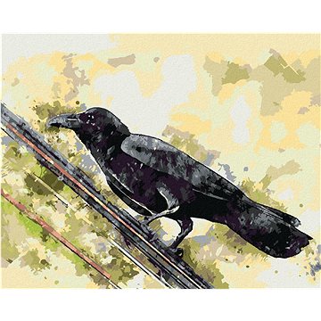 Vrána na drátě, 80×100 cm, vypnuté plátno na rám (6042913)