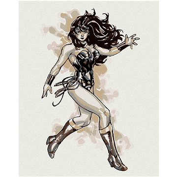 Wonder Woman černobílý plakát III, 40×50 cm, vypnuté plátno na rám (5011691)