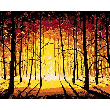 Západ slunce v podzimním lese, 80×100 cm, vypnuté plátno na rám (6045433)